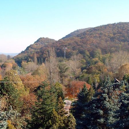 Vadregeny Panzio Bed and Breakfast Esztergom Esterno foto