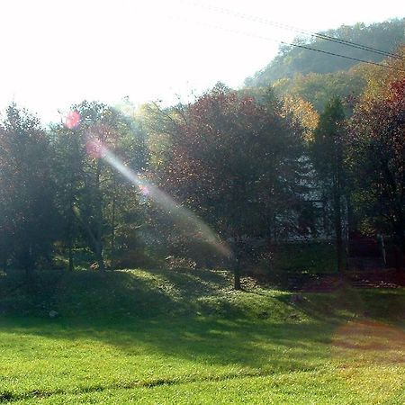 Vadregeny Panzio Bed and Breakfast Esztergom Esterno foto