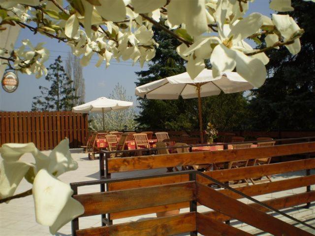 Vadregeny Panzio Bed and Breakfast Esztergom Esterno foto