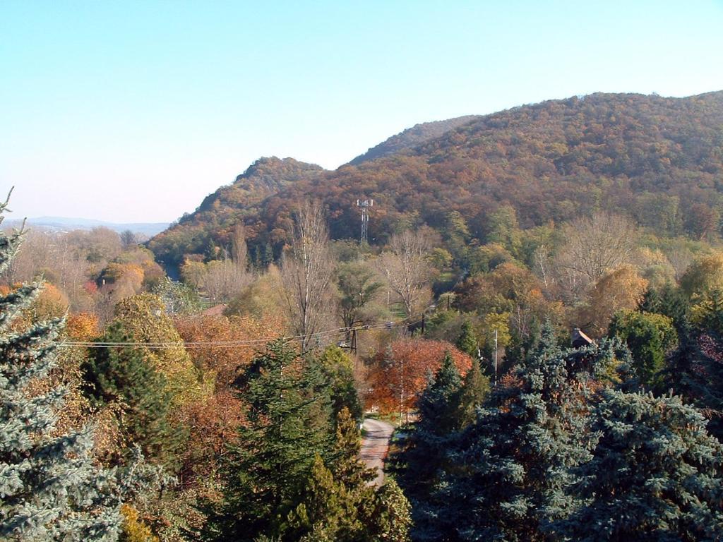 Vadregeny Panzio Bed and Breakfast Esztergom Esterno foto