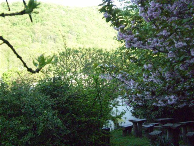 Vadregeny Panzio Bed and Breakfast Esztergom Esterno foto